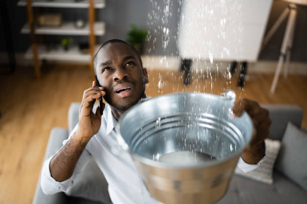 Best Carpet water damage restoration  in Hurleyville, NY