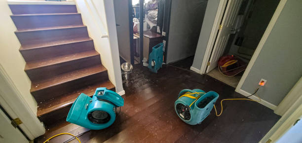 Best Sewage cleanup and water damage restoration  in Hurleyville, NY