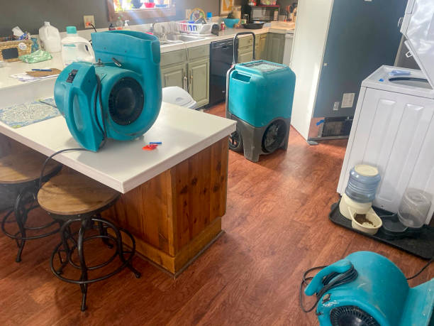 Best Water damage restoration specialists  in Hurleyville, NY